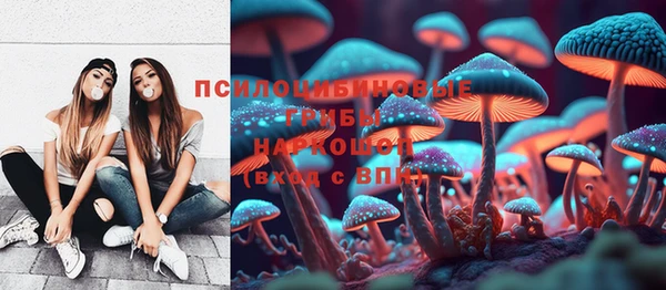 СК Алексеевка